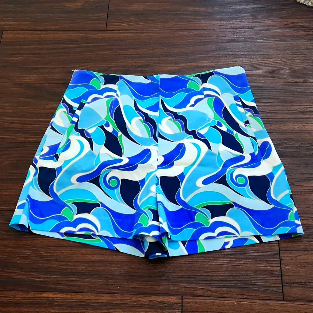 Zara Shorts